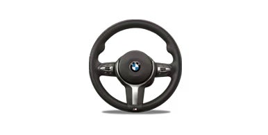 BMW Steering wheel | Enterprise BMW in Appleton WI